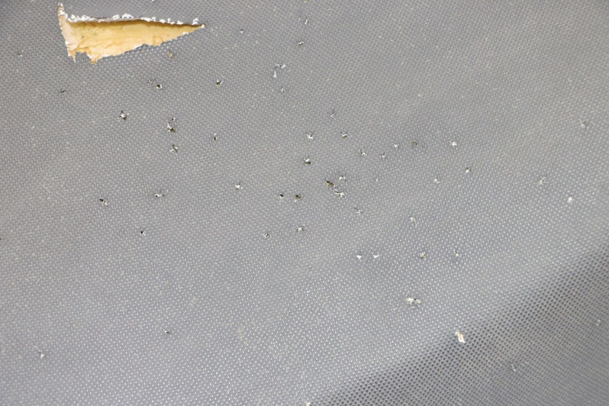 photo de SITZ TNT MOTOR BOSTON 4T 50 (2018 - 2025) - Zoom auf Gebrauchszustand