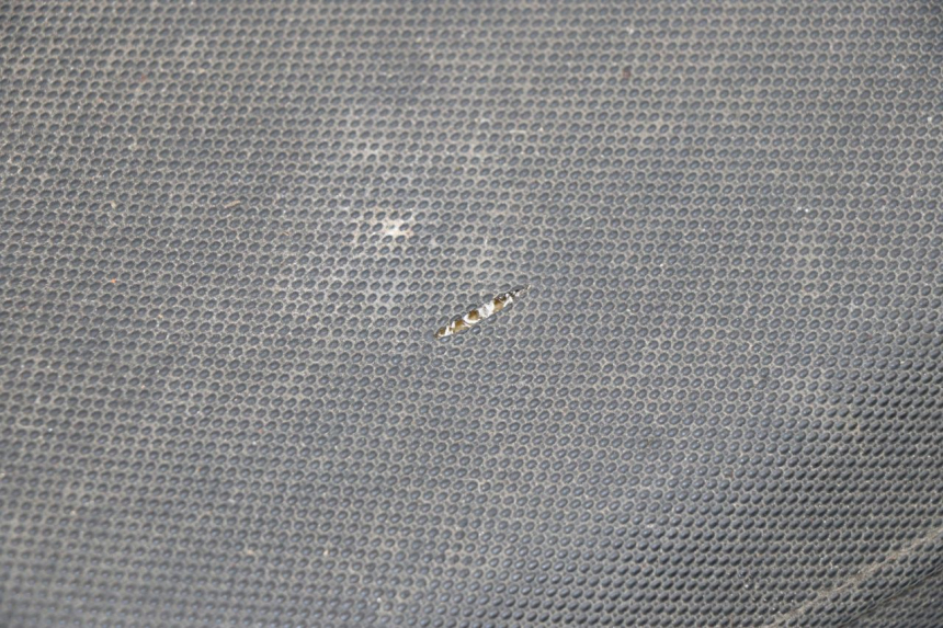 photo de SITZ BHM WACO 4T 50 (2008 - 2015) - Detailansicht des Bauteils