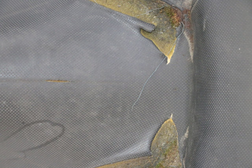 photo de SITZ YAMAHA X-CITY XCITY 125 (2007 - 2013) - Detailansicht des Bauteils