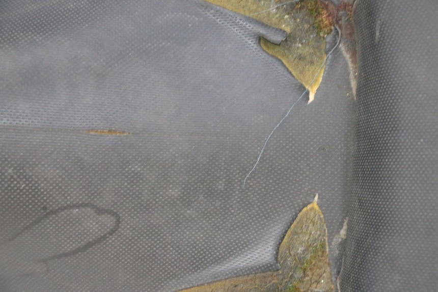 photo de SITZ YAMAHA X-CITY XCITY 125 (2007 - 2013) - Zoom auf Gebrauchszustand