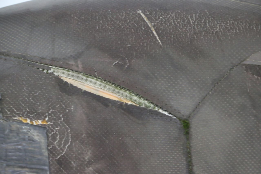 photo de SITZBANK YAMAHA X-MAX XMAX 250 (2006 - 2009) - Gesamtansicht des Produkts