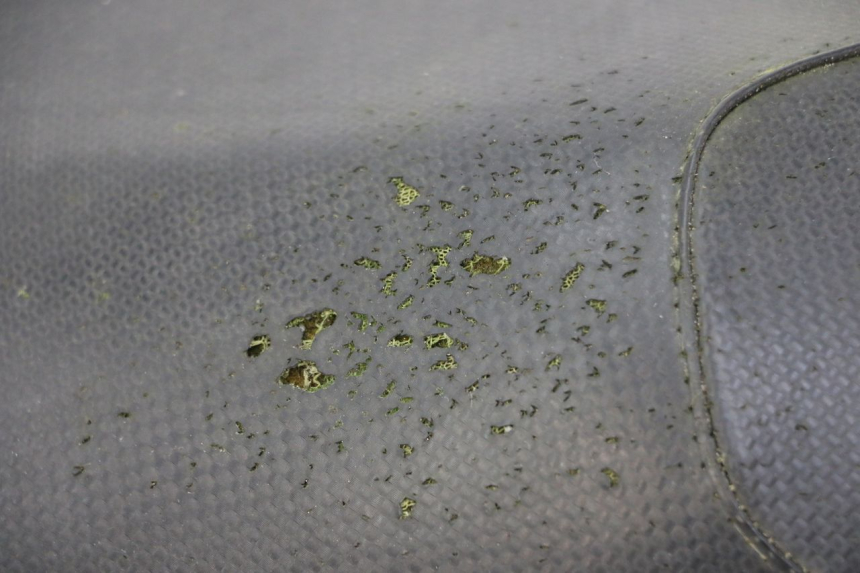 photo de SITZ YAMAHA AEROX 50 (1997 - 2006) - Details der Befestigungspunkte