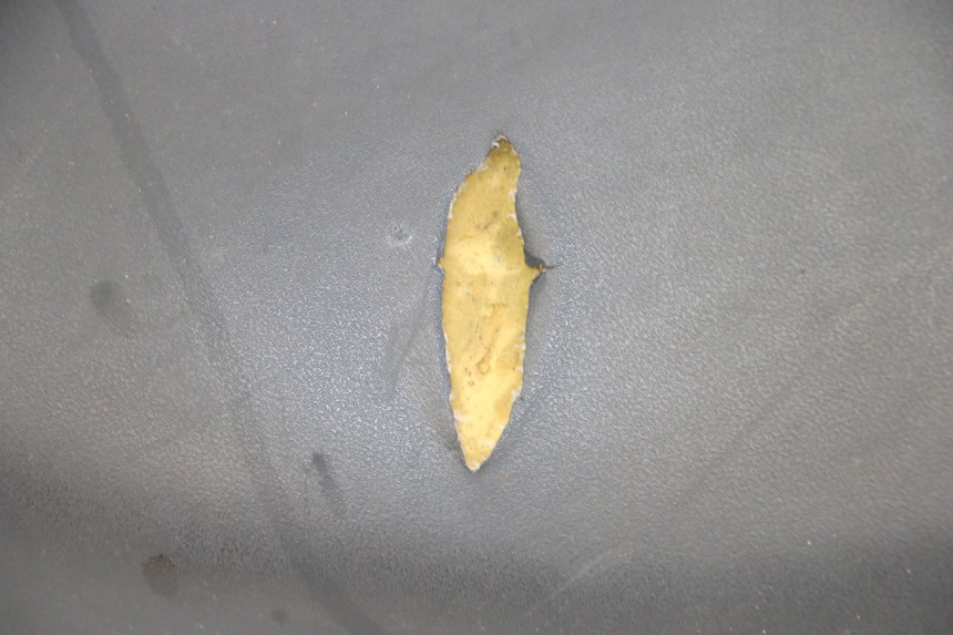 photo de SELLE YAMAHA NEOS NEO'S 4T 50 (2008 - 2016) - Charakteristische Merkmale