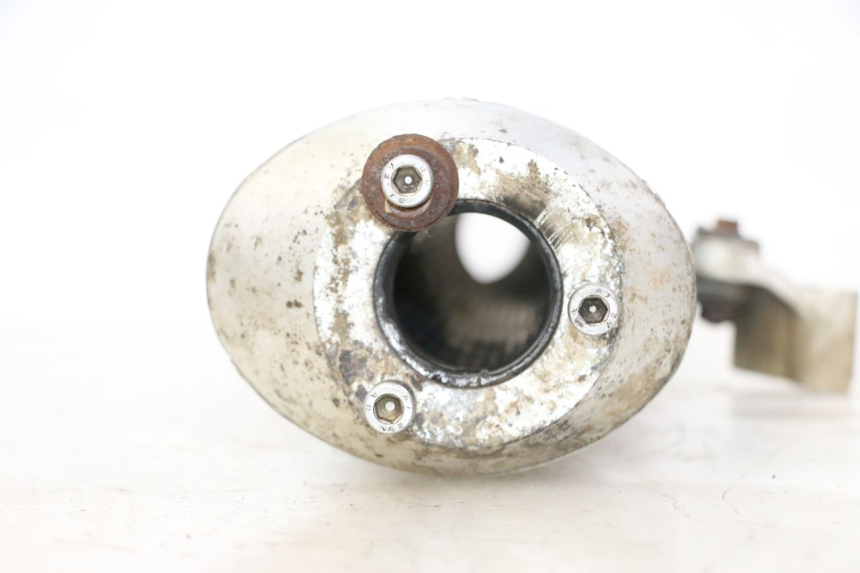 photo de SCHALLDÄMPFER KTM SUPERENDURO R 950 (2005 - 2009) - Detailansicht des Bauteils