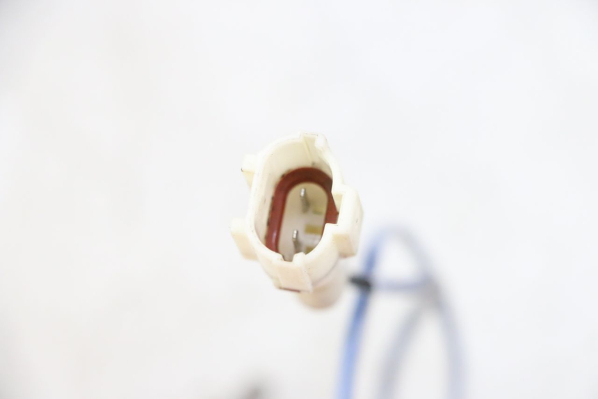 photo de SONDE TNT MOTOR BOSTON 4T 50 (2018 - 2025) - Detailansicht des Bauteils