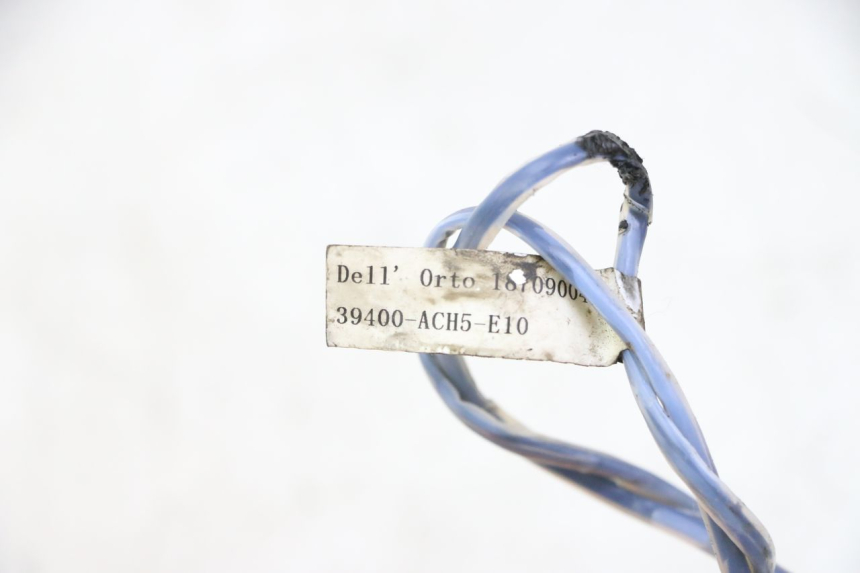 photo de SONDE TNT MOTOR BOSTON 4T 50 (2018 - 2025) - Alternative Perspektive