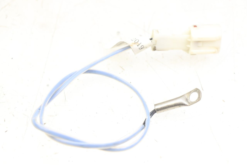 photo de SONDE ORCAL CAVARO 4T 50 (2019 - 2023) - Hauptansicht