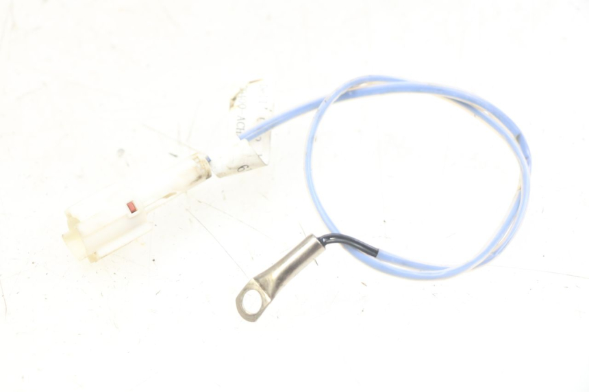 photo de SONDE ORCAL CAVARO 4T 50 (2019 - 2023) - Zoom auf Gebrauchszustand