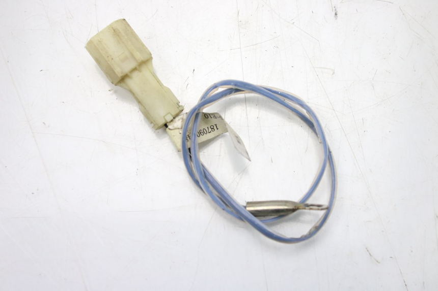 photo de SONDE LONGJIA DIGITA 4T 50 (2019 - 2022) - Hauptansicht