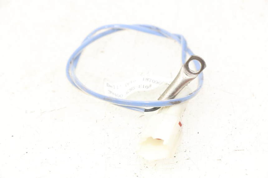 photo de SONDE JM MOTORS EVOLIS 4T 50 (2018 - 2022) - Zoom auf Gebrauchszustand