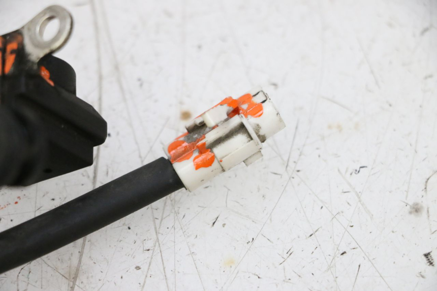 photo de SONDE PEUGEOT KISBEE 4T 50 (2018 - 2022) - Alternative Perspektive