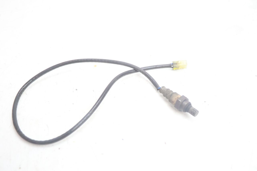 photo de LAMBDASONDE  SUZUKI BURGMAN EXECUTIVE ABS 650 (2006 - 2012) - Alternative Perspektive