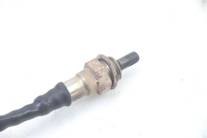 photo de LAMBDASONDE  JM MOTORS OLDIES GT 4T 50 (2018 - 2025) - Alternative Perspektive