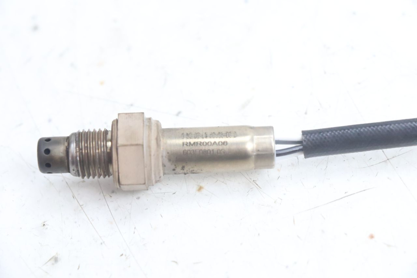 photo de LAMBDASONDE  JM MOTORS SANTANA EVO 50 (2024 - 2026) - Alternative Perspektive