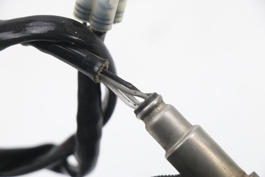 photo de LAMBDASONDE  JM MOTORS SUNNY 50 (2017 - 2020) - Zoom auf Gebrauchszustand