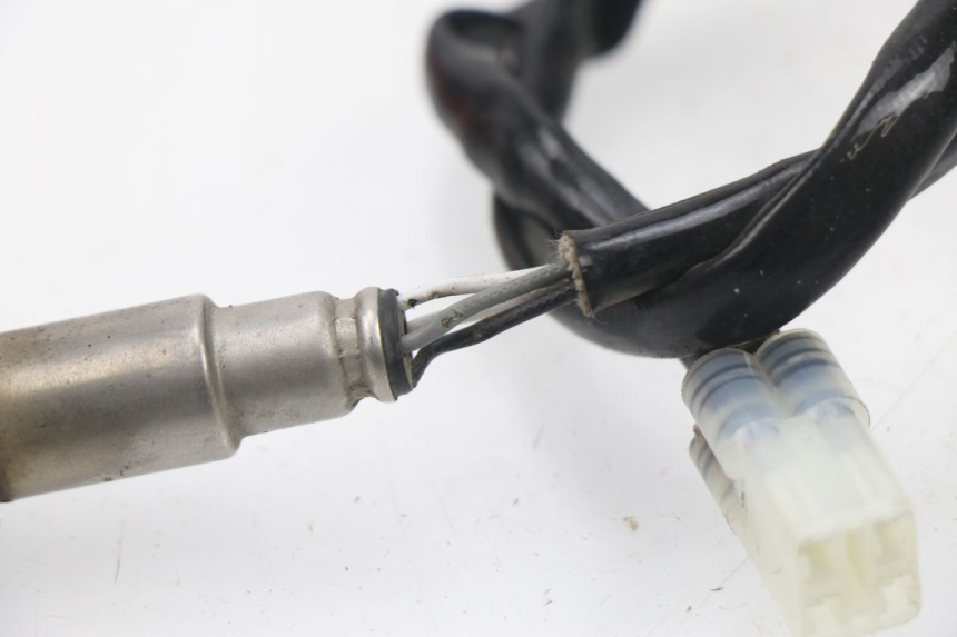 photo de LAMBDASONDE  JM MOTORS SUNNY 50 (2017 - 2020) - Alternative Perspektive