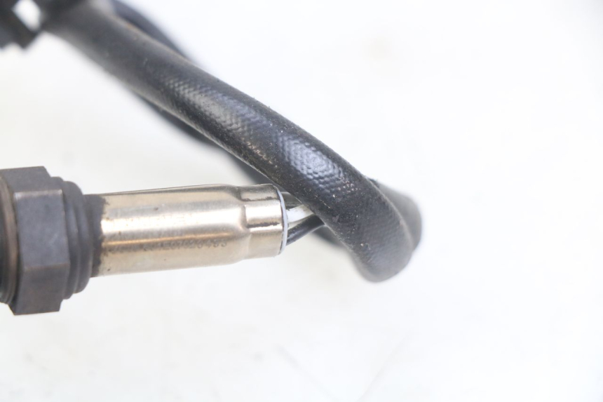 photo de SONDE LAMBDA UNIVERSAL BIKE ZN50QT-11B 50 (2018 - 2021) - Detailansicht des Bauteils