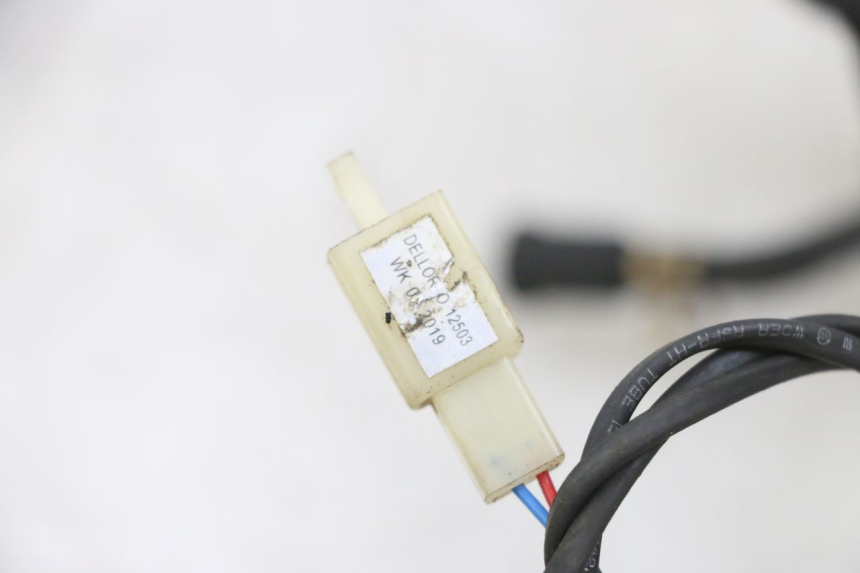 photo de LUFTDRUCKSENSOR TNT MOTOR ROMA 10' 4T 50 (2019 - 2022) - Alternative Perspektive