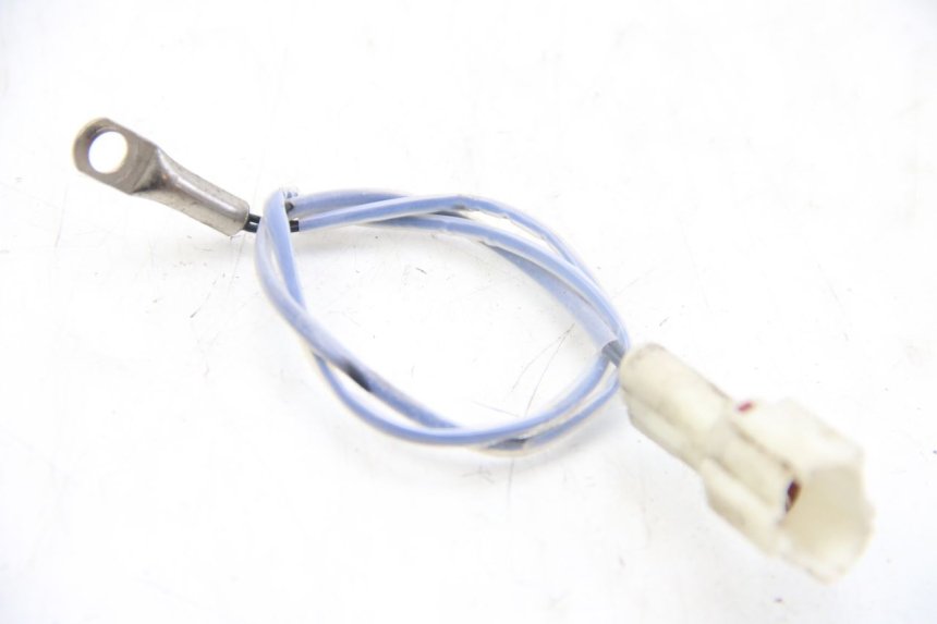 photo de SONDE TNT MOTOR ROMA 10' 4T 50 (2019 - 2022) - Hauptansicht