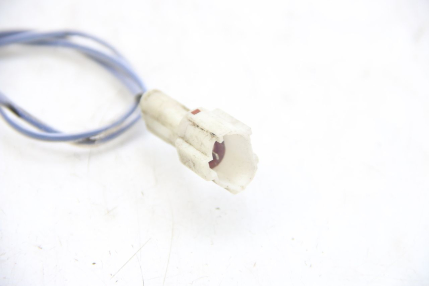 photo de SONDE TNT MOTOR ROMA 10' 4T 50 (2019 - 2022) - Detailansicht des Bauteils