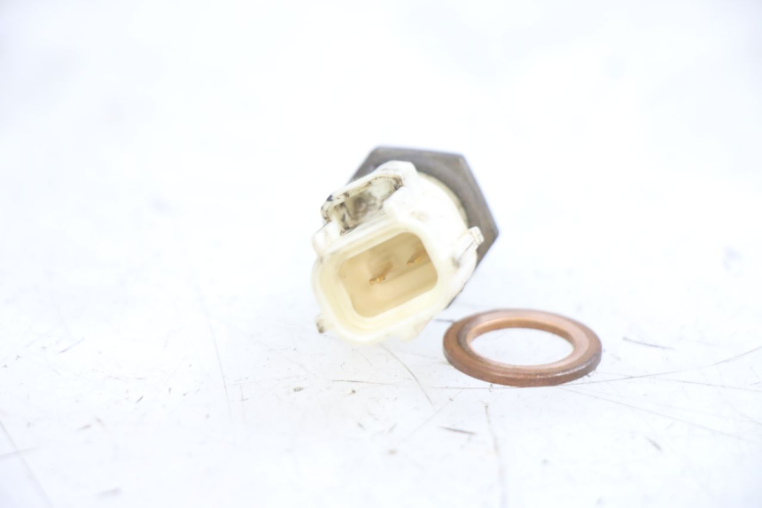 photo de WASSERTEMPERATURSENSOR YAMAHA NEOS NEO'S 4T 50 (2008 - 2016) - Zoom auf Gebrauchszustand