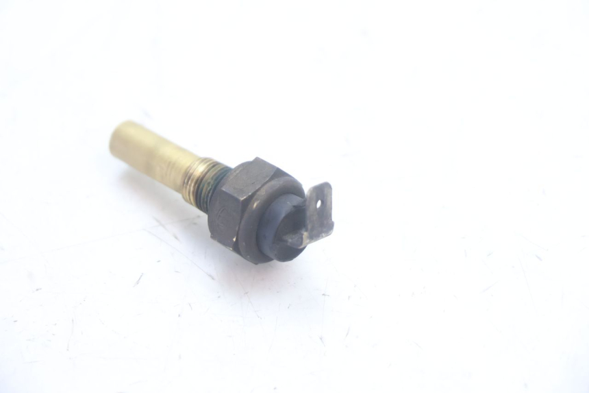 photo de WASSERTEMPERATUR SENSOR YAMAHA YP MAJESTY 125 (2002 - 2006) - Zoom auf Gebrauchszustand