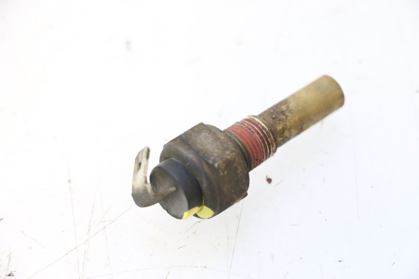 photo de WASSERTEMPERATUR SENSOR YAMAHA YP MAJESTY 125 (2007 - 2010) - Zoom auf Gebrauchszustand
