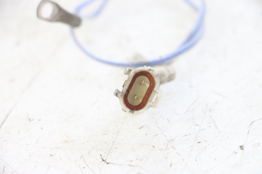 photo de SONDE TNT MOTOR ROMA 10' 4T 50 (2019 - 2022) - Zoom auf Gebrauchszustand