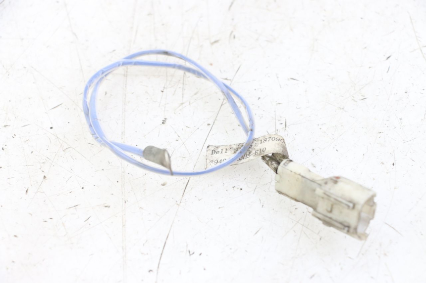 photo de SONDE TNT MOTOR ROMA 10' 4T 50 (2019 - 2022) - Alternative Perspektive