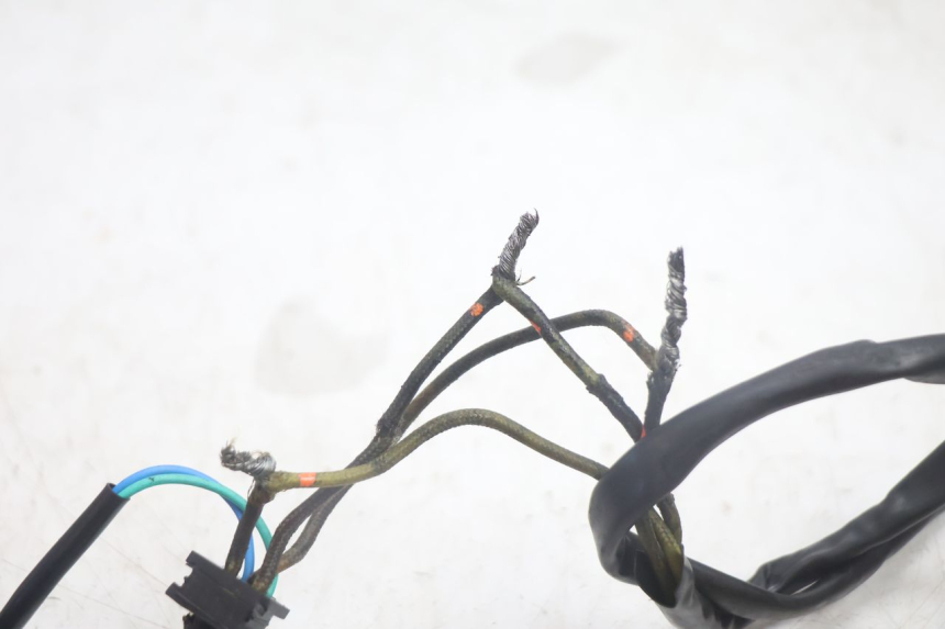 photo de LICHTMASCHINE SUZUKI BURGMAN EXECUTIVE ABS 650 (2006 - 2012) - Alternative Perspektive