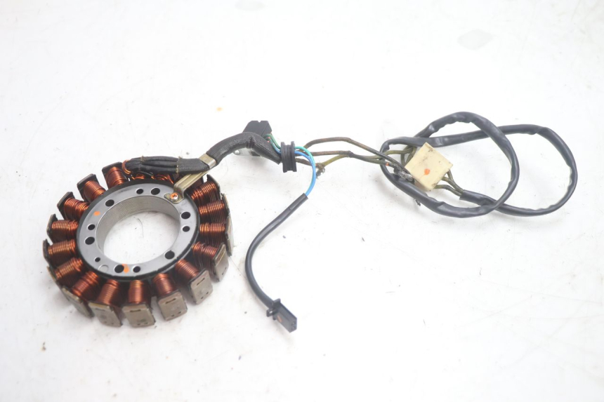 photo de LICHTMASCHINE SUZUKI BURGMAN EXECUTIVE ABS 650 (2006 - 2012) - Details der Befestigungspunkte
