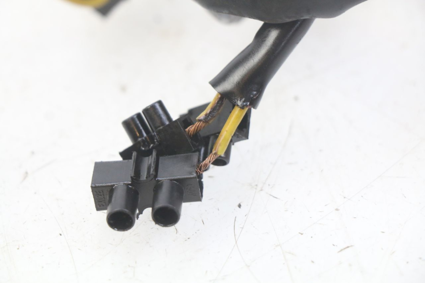 photo de STATOR HONDA CBF 500 (2004 - 2007) - Alternative Perspektive