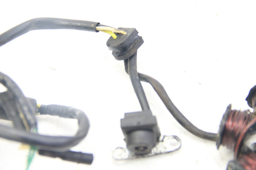 photo de STATOR HONDA CRF CR-F 100 (2004 - 2013) - Alternative Perspektive