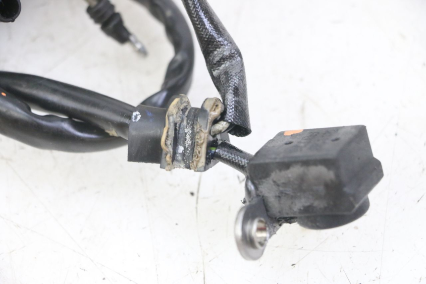 photo de LICHTMASCHINE HONDA CRF-F CRF F 110 (2019 - 2022) - Technische Nahaufnahme