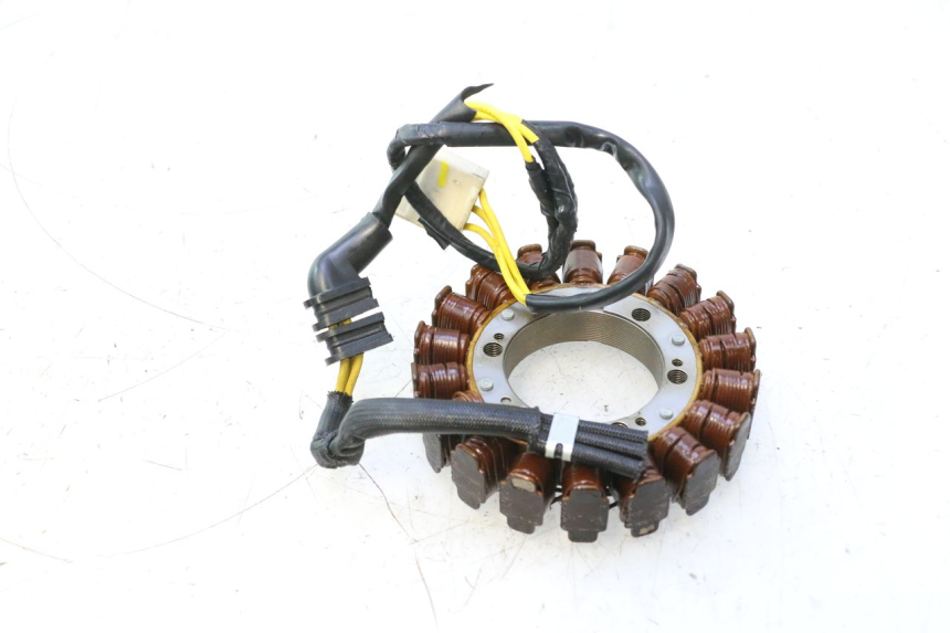 photo de STATOR GILERA GP 800 (2007 - 2013) - Alternative Perspektive