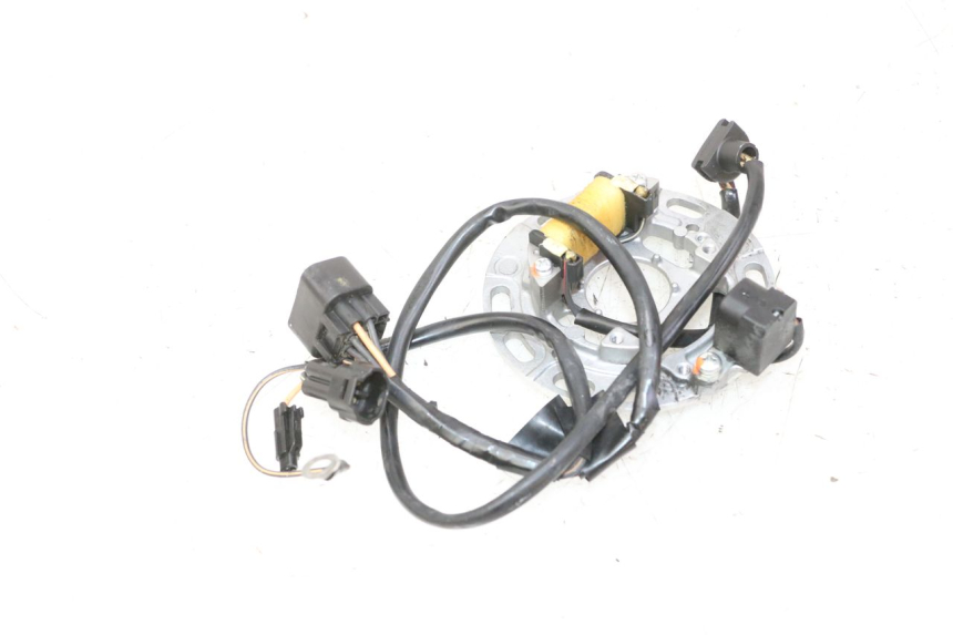 photo de LICHTMASCHINE KAWASAKI KX 85 (2014 - 2021) - Alternative Perspektive