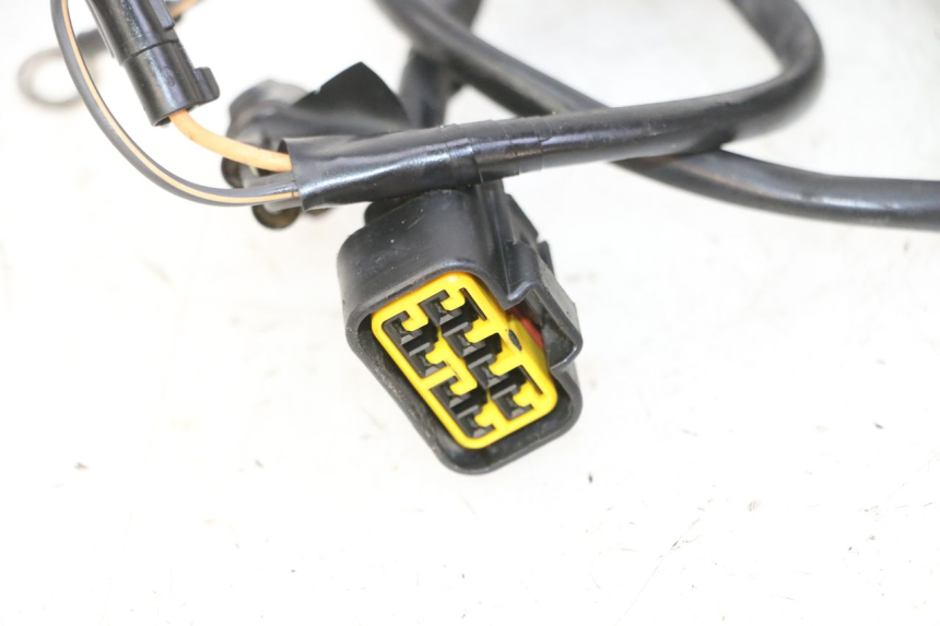 photo de LICHTMASCHINE KAWASAKI KX 85 (2014 - 2021) - Kennzeichnungen und Originalreferenzen