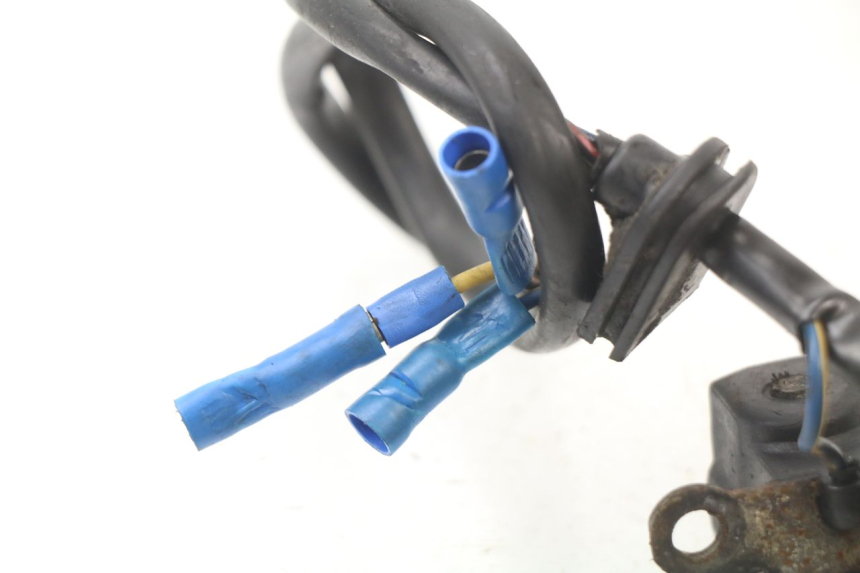 photo de LICHTMASCHINE PEUGEOT LUDIX BLASTER 50 (2006 - 2014) - Alternative Perspektive