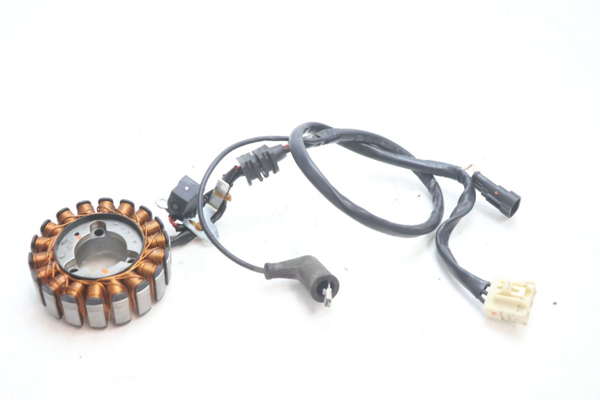 photo de LICHTMASCHINE PIAGGIO MP3 LT 300 (2010 - 2016) - Hauptansicht