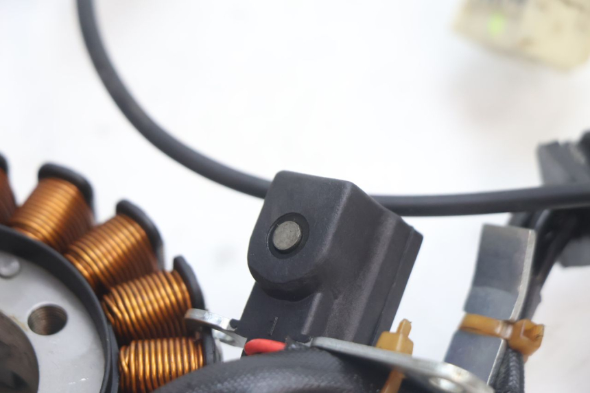 photo de LICHTMASCHINE PIAGGIO MP3 LT 300 (2010 - 2016) - Zoom auf Gebrauchszustand