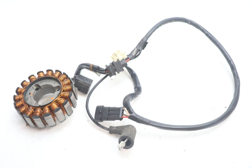 photo de LICHTMASCHINE PIAGGIO MP3 LT 300 (2010 - 2016) - Alternative Perspektive