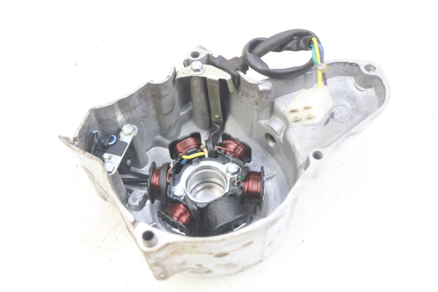 photo de STATOR PANTHERA PANTHERA 110 (2010 - 2017) - Details der Befestigungspunkte