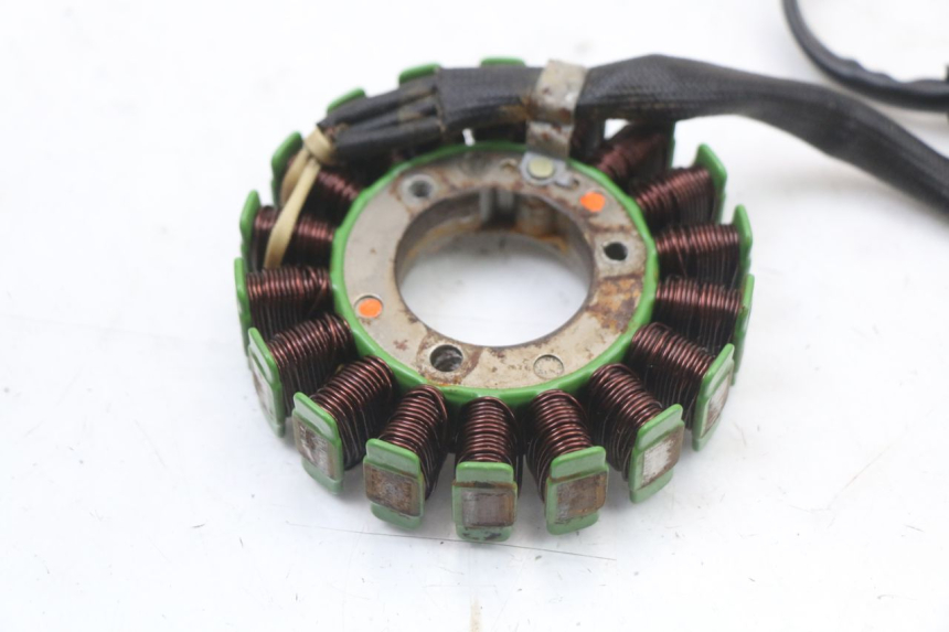 photo de STATOR REGAL RAPTOR RAXTER 2 125 (2007 - 2015) - Zoom auf Gebrauchszustand