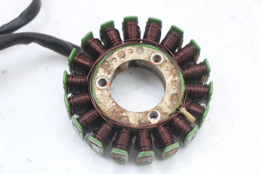 photo de STATOR REGAL RAPTOR RAXTER 2 125 (2007 - 2015) - Technische Nahaufnahme