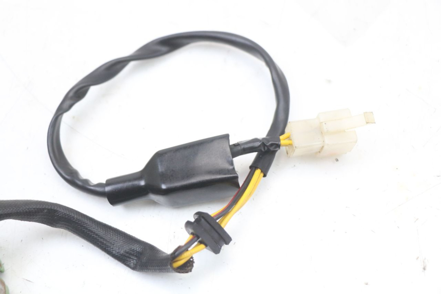 photo de STATOR REGAL RAPTOR RAXTER 2 125 (2007 - 2015) - Gesamtansicht des Produkts