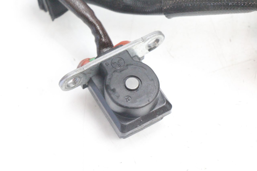 photo de LICHTMASCHINE PEUGEOT SATELIS 125 (2006 - 2009) - Alternative Perspektive