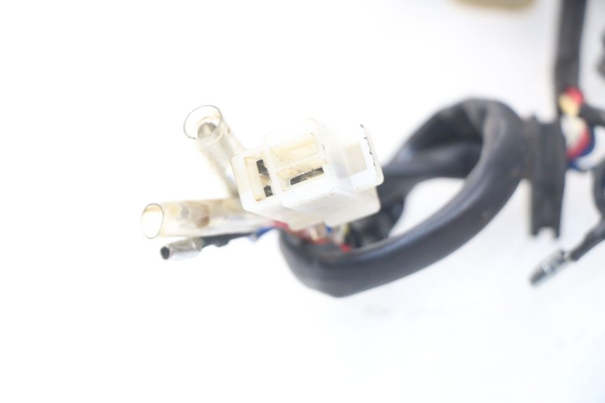 photo de LICHTMASCHINE JM MOTORS SC 4T 50 (2012 - 2017) - Alternative Perspektive