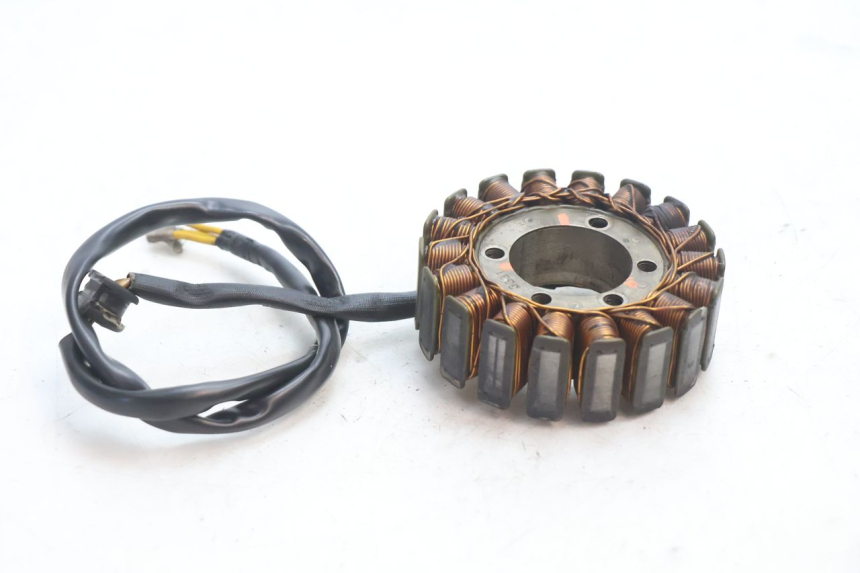 photo de LICHTMASCHINE DUCATI SS IE DS CARENEE 1000 (2002 - 2006) - Detailansicht des Bauteils