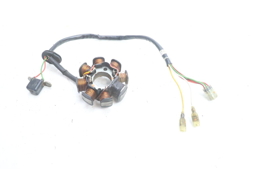 photo de LICHTMASCHINE HUSABERG TE 250 (2011 - 2014) - Technische Nahaufnahme