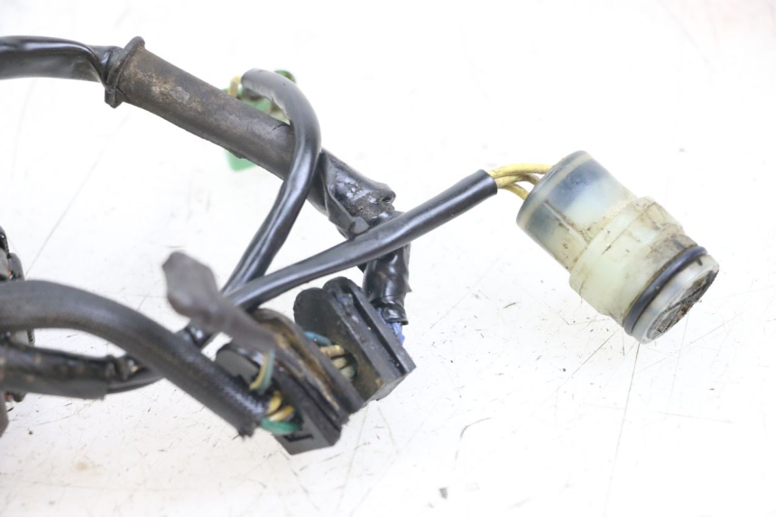 photo de STATOR HONDA TRX 300 (1988 - 2000) - Detailansicht des Bauteils